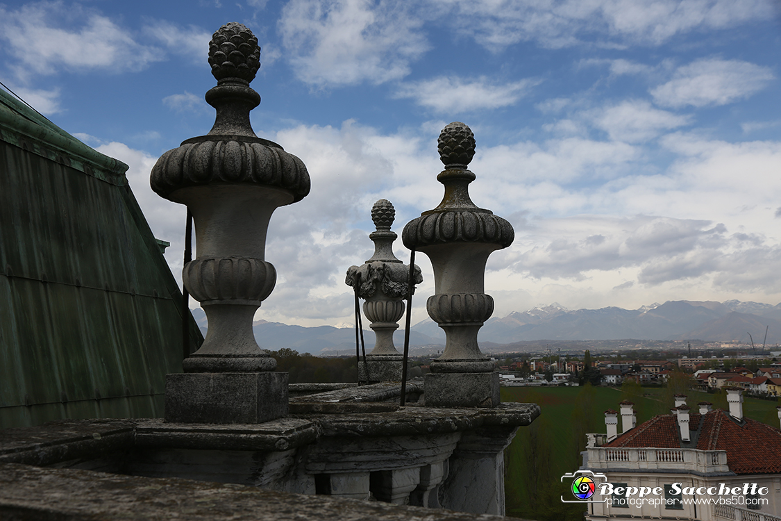 VBS_5988 - Sotto il Cervo - Palazzina di Caccia di Stupinigi.jpg